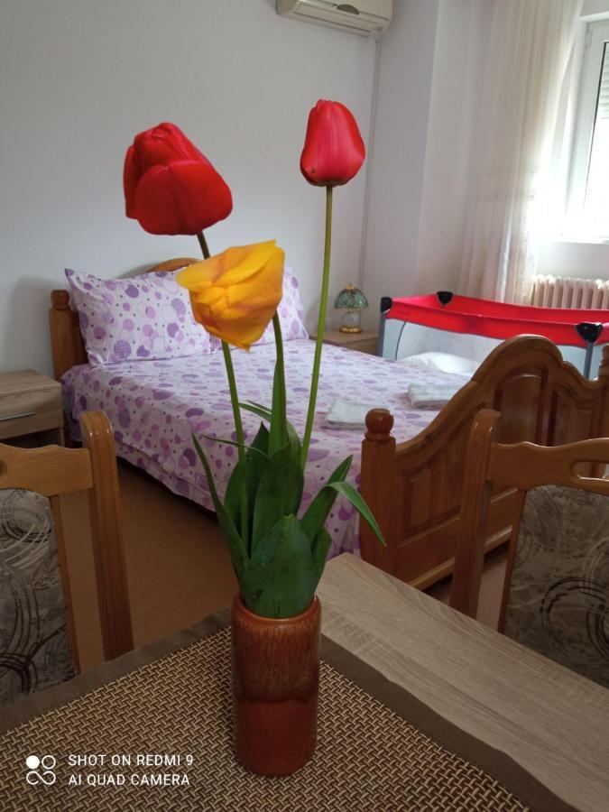 Apartman Andelina Vrnjačka Banja Buitenkant foto