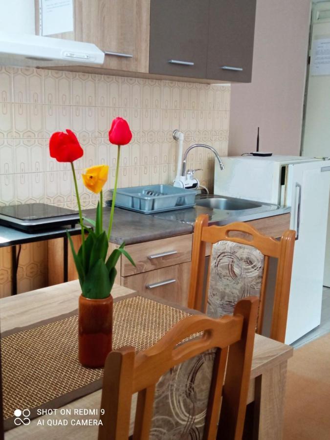 Apartman Andelina Vrnjačka Banja Buitenkant foto