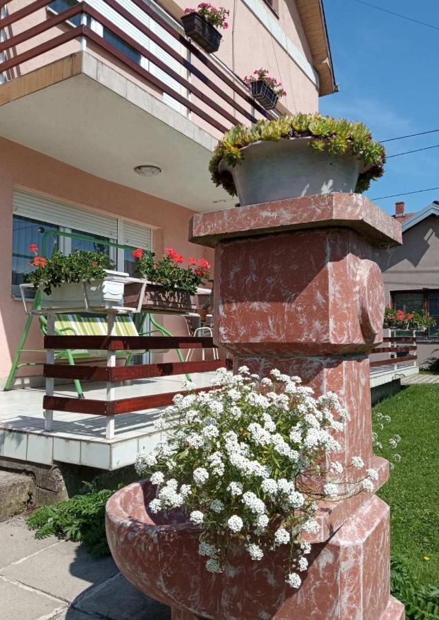 Apartman Andelina Vrnjačka Banja Buitenkant foto