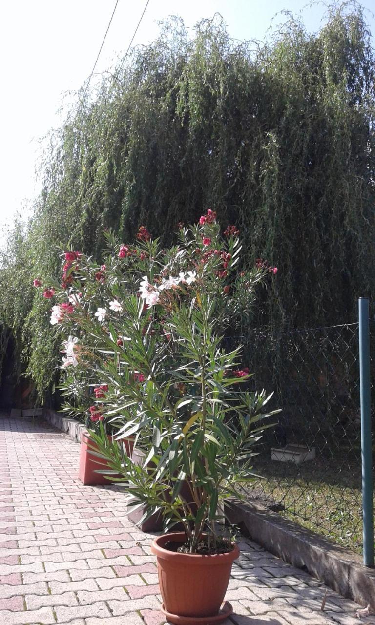 Apartman Andelina Vrnjačka Banja Buitenkant foto