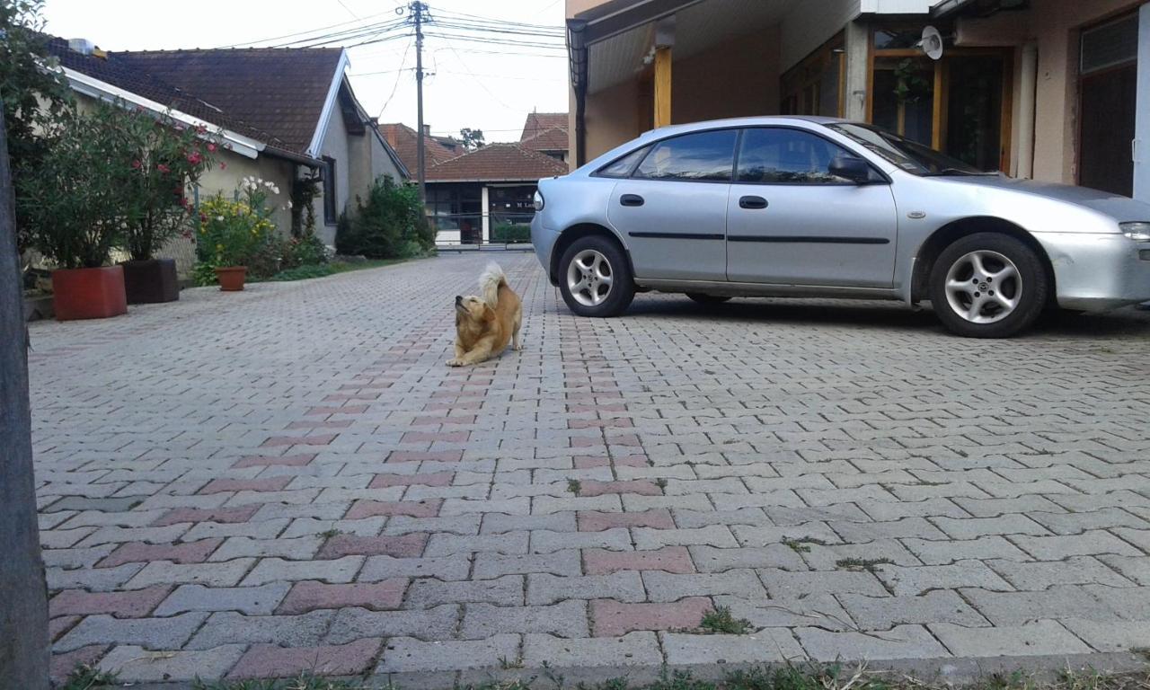 Apartman Andelina Vrnjačka Banja Buitenkant foto